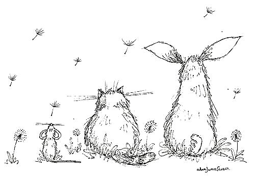 Netherfield Cattery  Pet Boarding Image